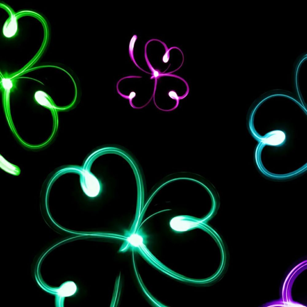 Meet your Posher, Molly